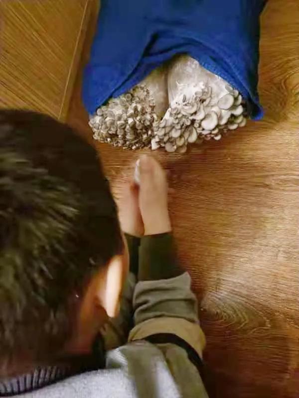 儿童在家怎么孵小鸡，小孩子在家怎么孵小鸡（我竟然学会了孵蛋）