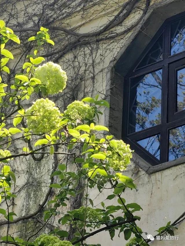 苏州山塘街攻略，苏州山塘街美食最强攻略（周末轻松苏州游）