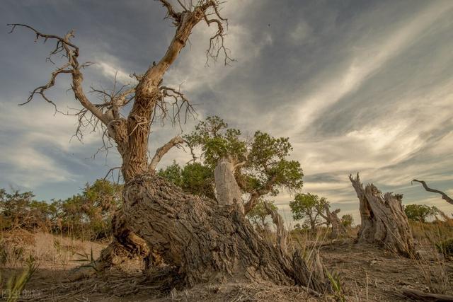 祖国在我心中，祖国在我心中演讲稿（祖国在我心中英语作文80词）