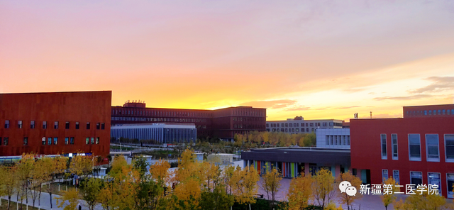 新疆第二医学院是公办吗，新疆第二医学院怎么样（我在新疆第二医学院等你）