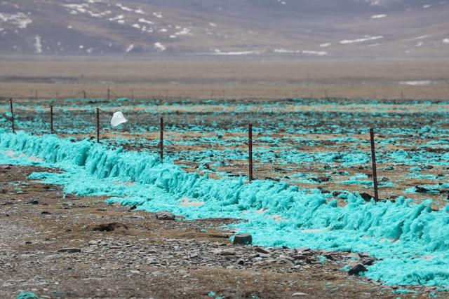 支付宝蚂蚁森林，支付宝有多少蚂蚁森林种树（支付宝“蚂蚁森林”被曝大面积污染环境）