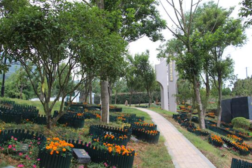 火化需要死亡证明吗（火葬场员工透露）