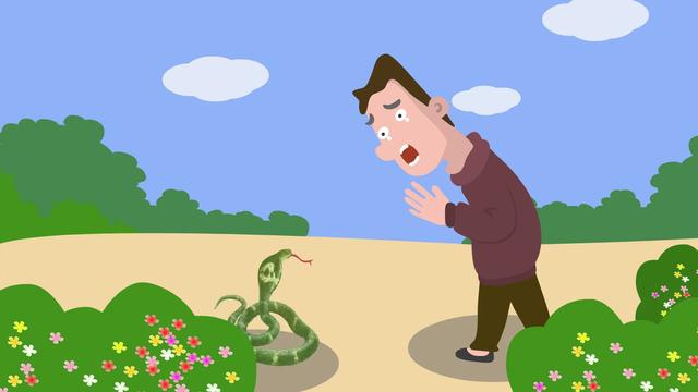 蛇是脊椎动物吗，蛇属于脊椎动物吗（为何我们很少看到蛇的尸体）