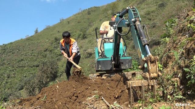 黑心姜的功效与作用，白姜的功效与作用图片（金平：春耕正当时 种姜来致富）