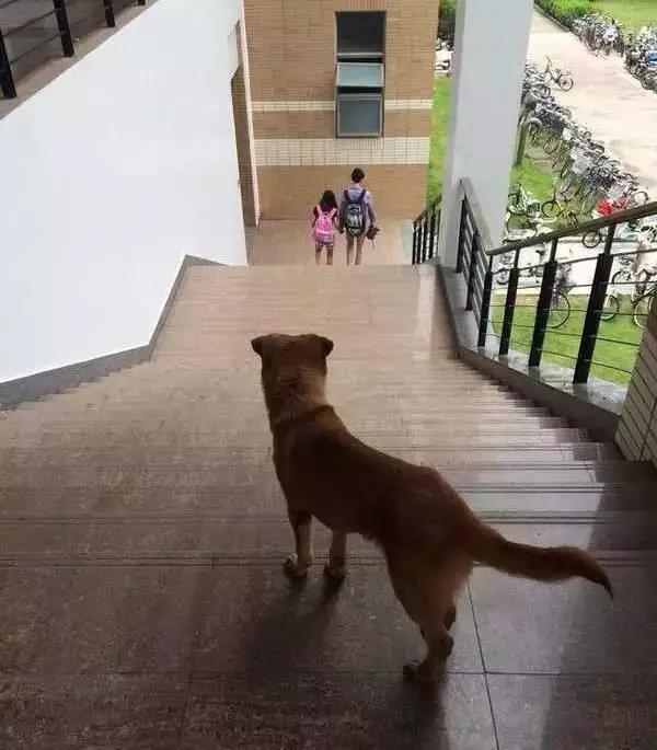 害是什么梗，你要是能摸到那片树叶算你厉害是什么梗（那些你知道的和不知道的网络爆梗流行语）