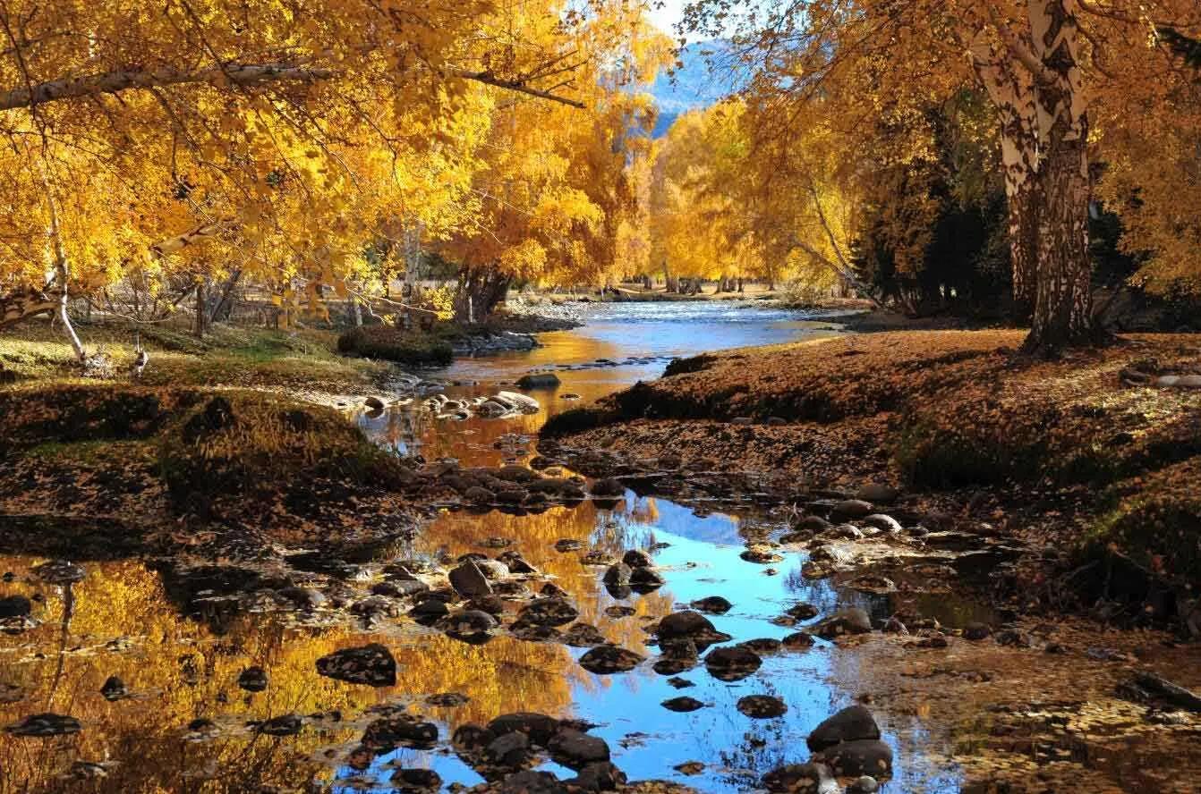 金秋的拼音,金秋 - 玉三网