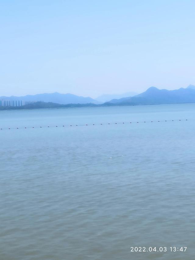 深圳湾公园在哪里，去深圳湾公园怎么预约（深圳湾公园）