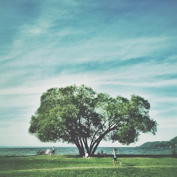 早安暖心话短句，早安暖心话短句图片（很温情很暖心的早安短句）