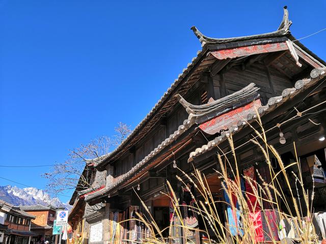 旅行之----夏季最适合旅游的八大国内景点，夏季最适合去的国内旅游景点（国内Top8避暑胜地）