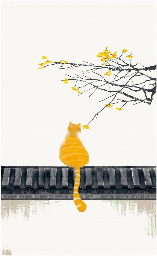 会计信息化包括什么，会计信息化包括什么内容（第二章：第五、六、七节）