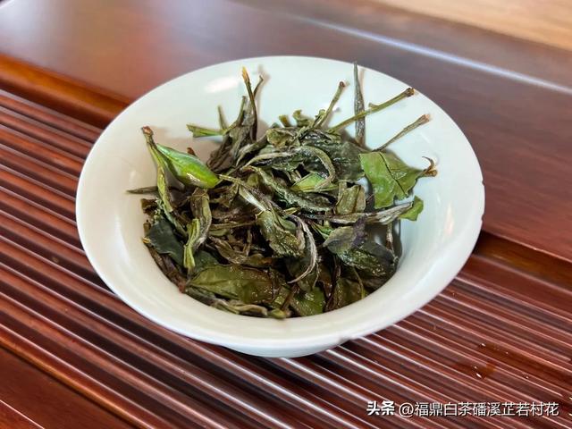 福鼎白茶产区磻溪，带你了解白茶优质产区，磻溪镇