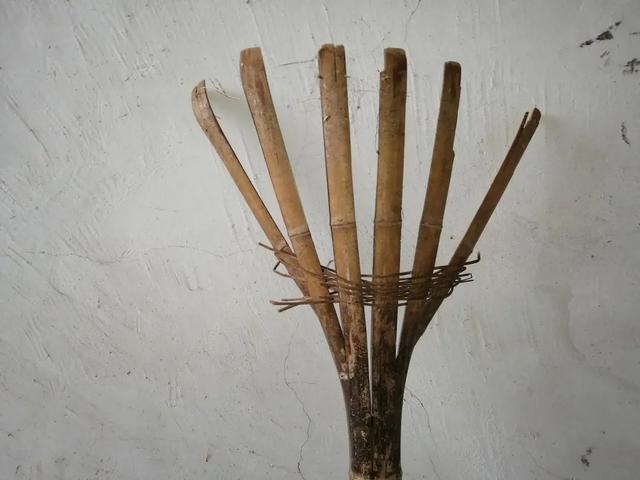 禾比秕谷怎么读，秕谷怎么读拼音怎么写（80年代农村常用的14种老物件）