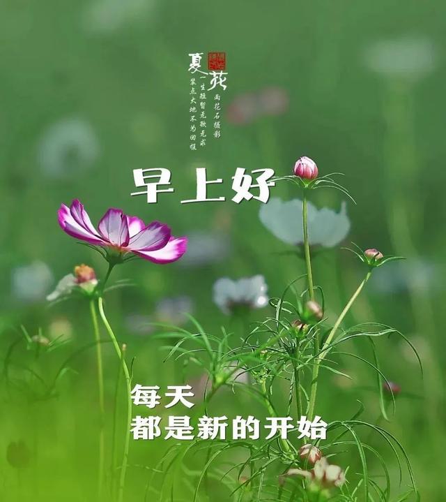 每日正能量句子，每日一句正能量励志句子（早安心语，正能量说说经典句子）