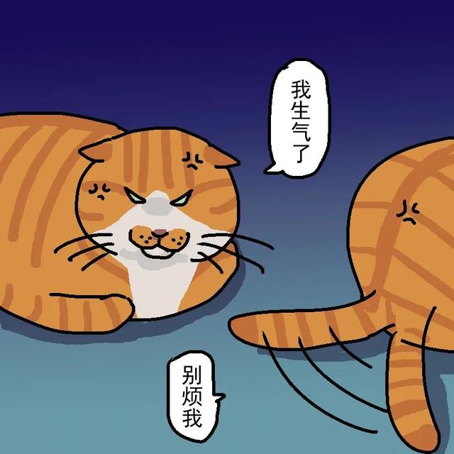 如何读懂猫的叫声语言，猫的叫声对话（一次性教你看懂猫咪语言）
