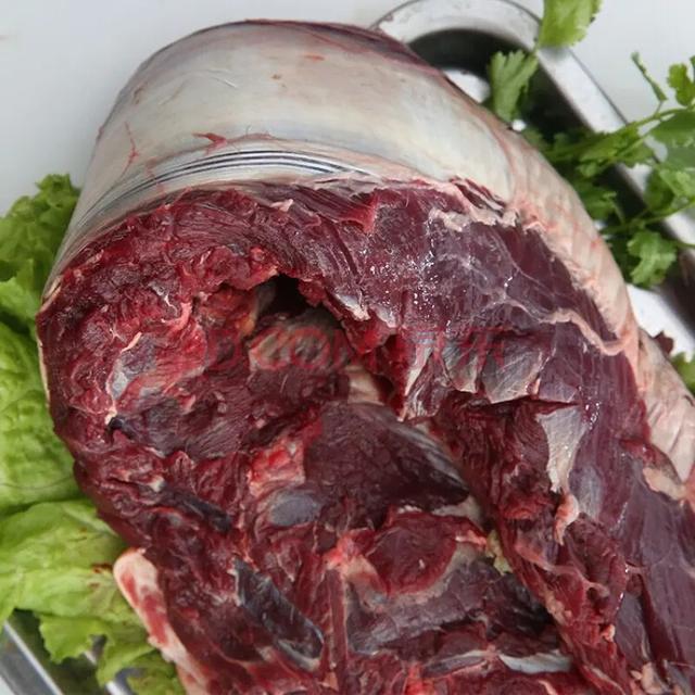 鹿肉（鹿肉性味归经，为何市面上那么少见（鹿肉的功用）