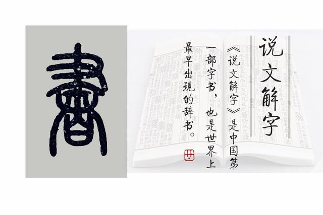 書字的筆順,我字的筆順怎麼寫(《說文解字》第564課)