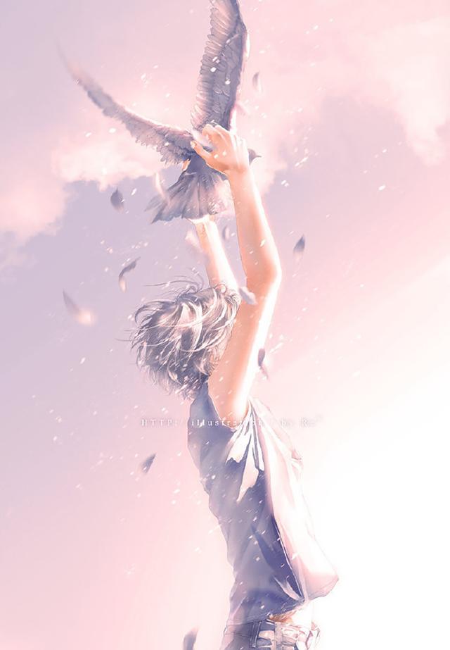 光影美，光影美学概念（淡淡的色彩表达颇具美感图片）