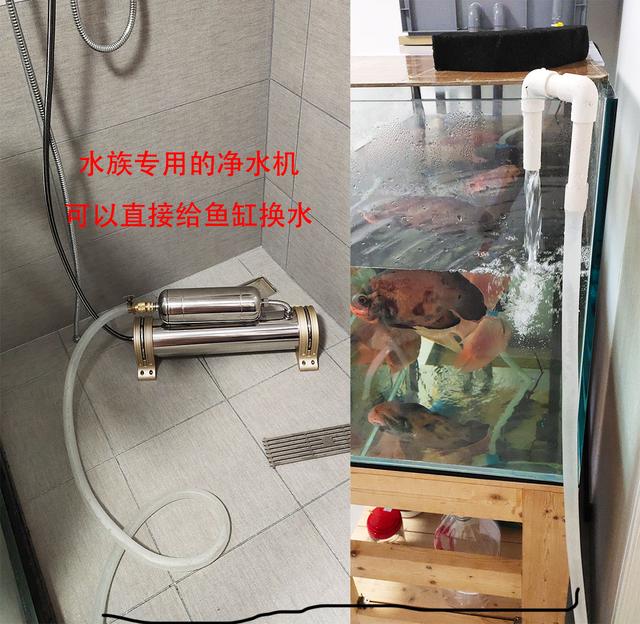 鱼缸水泵的正确使用方法，鱼缸潜水泵怎么用（自来水养鱼快速除氯气）