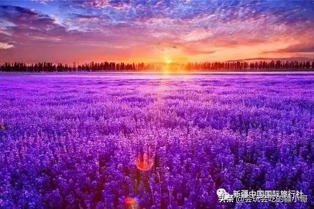 新疆旅游攻略必玩的景点有哪些，新疆旅游攻略必玩的景点有哪些地方（盘点新疆此生必去的50处风景）