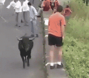 壁虎能长多大，为什么家里有壁虎一定要打死（“以为买了个壁虎）