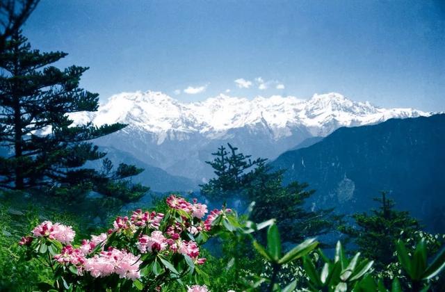 西岭雪山攻略，西岭雪山攻略一日游10月（四川五一假期热门景点 ）