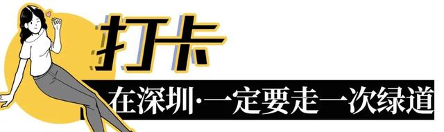 深圳旅游全攻略，深圳必须去的50个地方