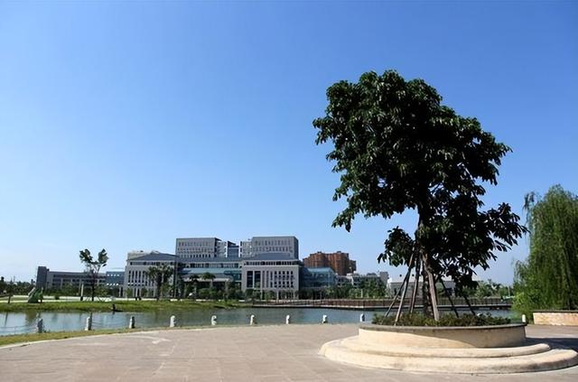 成都医学院是985大学还是211大学，成都医科大学是985还是211（当地学子：幸福来得太及时了）