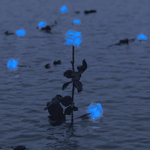 伤感背景图片，伤感背景图片动漫（伤感文案，背景图）