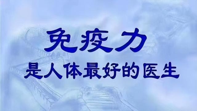 血脂高能吃瓜子吗，血脂高能吃瓜子花生吗（临近年关瓜子少不了）