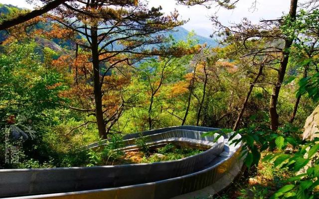 天蒙山简单介绍，天蒙山多高（天蒙山中的冬日美景）