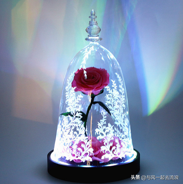 情人节送多少玫瑰，情人节送多少朵玫瑰（送多少有讲究<完整版>）