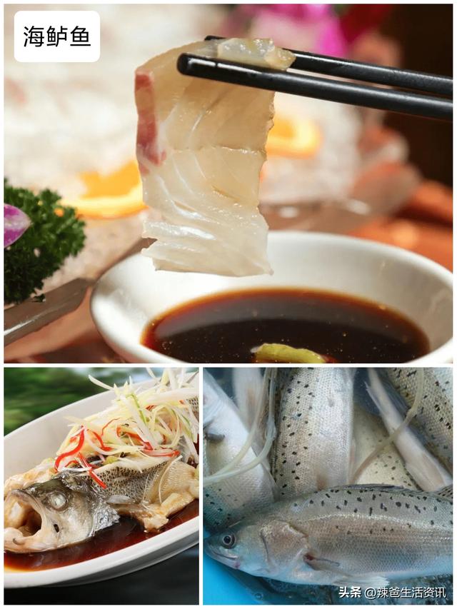 40种“好吃不贵”的野生海鱼（上），附：价格和吃法，请收藏