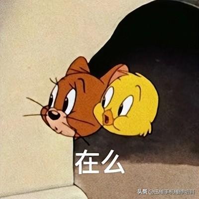 小米手机充电充不进去怎么办（手机不能充电快速修复技巧）