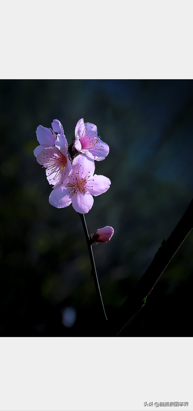 高光质感背景图，高清高级感背景图（若有这6个错误的深色背景照片）