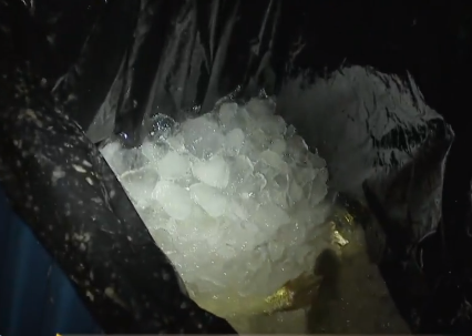 卖金鱼好赚吗，金鱼生意怎么样（别人不支持他偏要瞎折腾）