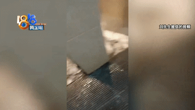 打电话未接通什么意思，打电话未能接通是什么意思（洗澡间里泡沫多，四个大人围着）