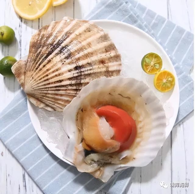 三文鱼怎么保存，三文鱼怎么保存最新鲜（海鲜保鲜期延长2倍）