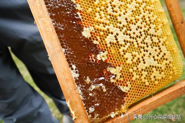 土特产店名，土特产店名一般叫什么（偶遇广东揭西县两位牛人）