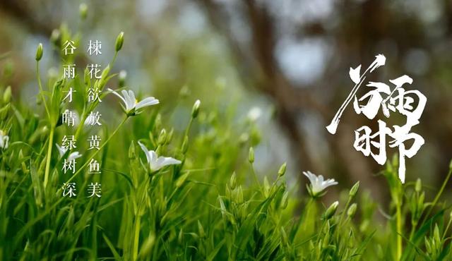 关于谷雨的古诗，关于谷雨的古诗有哪些（一起感受古诗词里的谷雨）