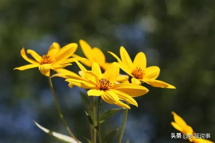 你在无意间发现了什么令人震惊的事？