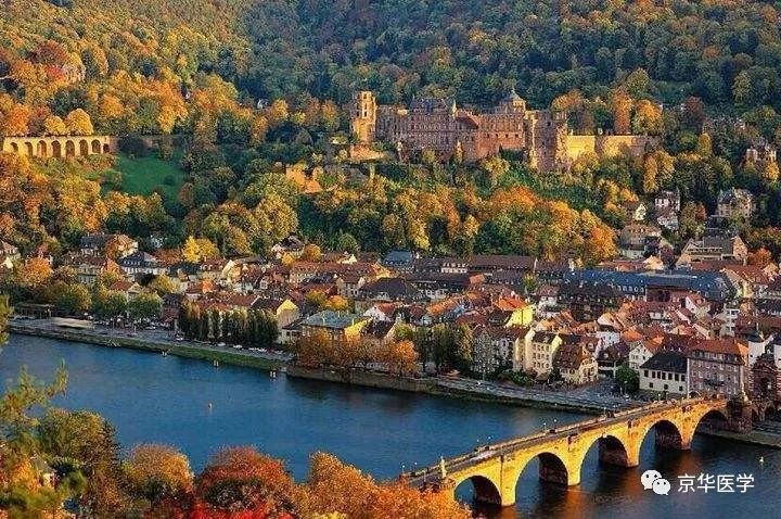 海德堡大学医学院（德国医学院校简介）