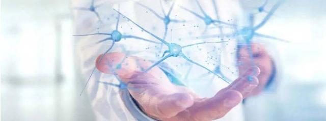 手掌生命线是哪条，手心哪条线是生命线（手脚“生命线”出现这些症状）