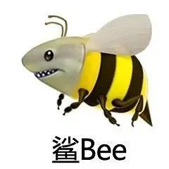 小鲨鱼表情包，微信头像，小鲨鱼表情包（斗图必备沙雕表情包‖鲨bee）