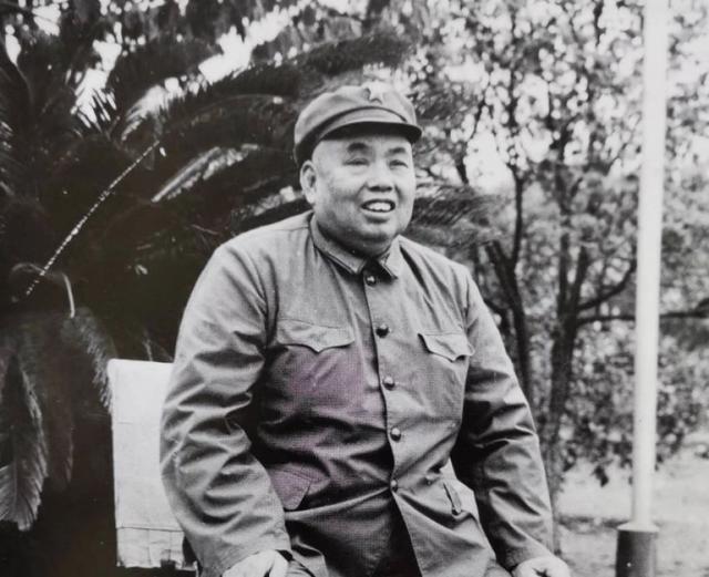 越南战争的起因，79年越南战争的起因（解放军到底伤亡了多少人）