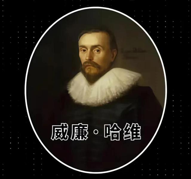 为什么**毛虫会变成蝴蝶呢（毛毛虫究竟是怎么变成蝴蝶）