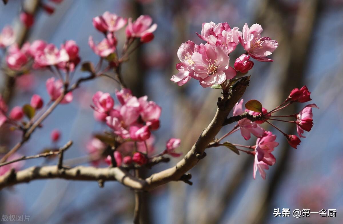 虎年犯太岁生肖是什么，虎年犯太岁的五个属相（4个生肖要“躲春”）