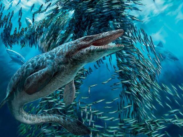 晚期恐龙有什么龙,恐龙有些什么恐龙(如何长成17米长的森然巨物)