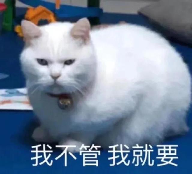 猫猫表情包，猫猫虫表情包（你家里是开幼儿园的吗图片）