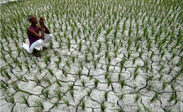 印度国土面积多少平方公里，印度国土面积多少平方公里美国（印度耕地面积高于中国）