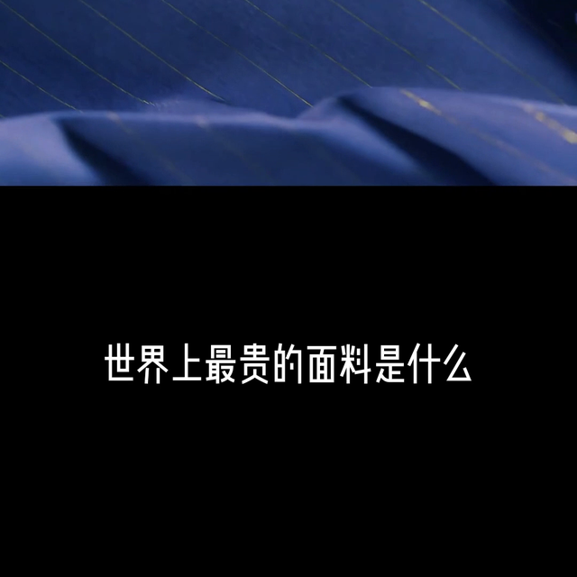 比世家宝更好的面料，世界上最贵的面料是什么